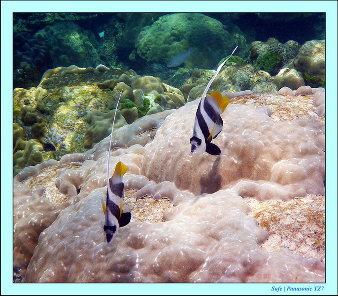 2012 - 03 - Koh Ha 19